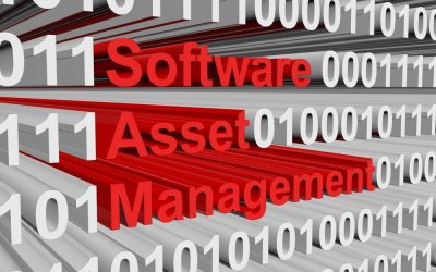 5 Key Success Factors for Effective Implementation of the Software Asset Management Solution